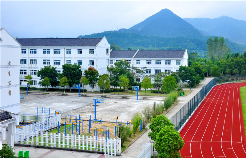 中心学校篮球场