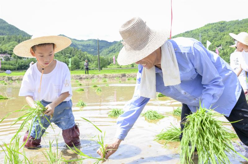 传承农耕智慧，感悟文化魅力——小记者插秧实践与文化研学